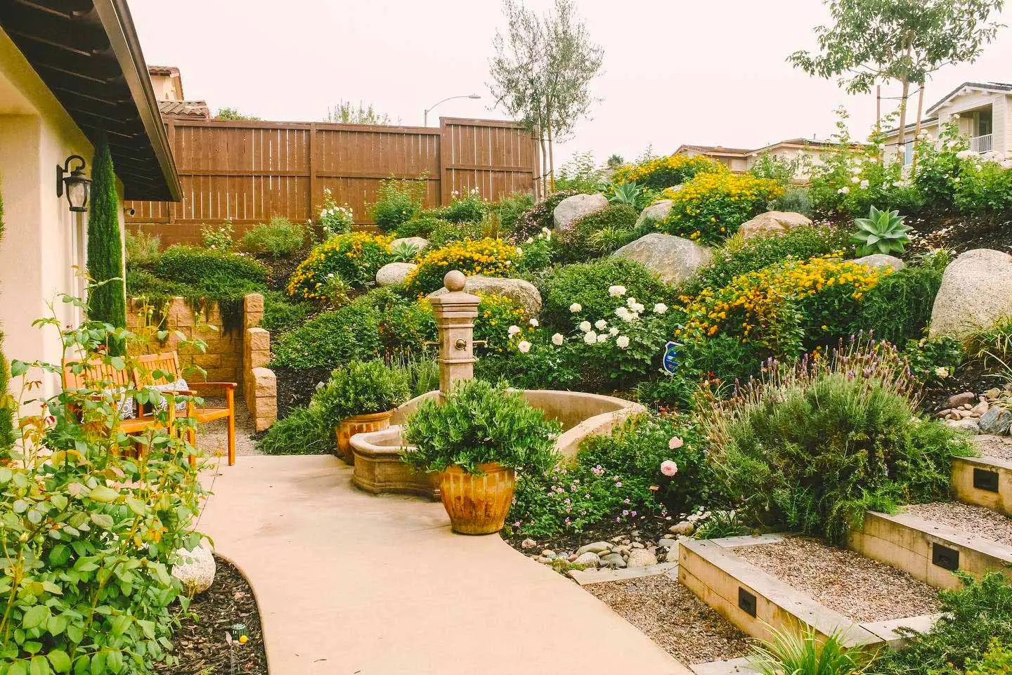 Abundance of flowering plants in a landscape bed near La Jolla, CA.