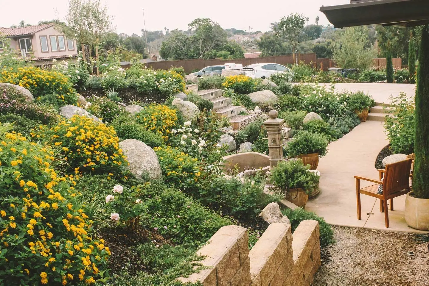 Gorgeous landscape installation full of blooming flowers near Rancho Santa Fe, CA.