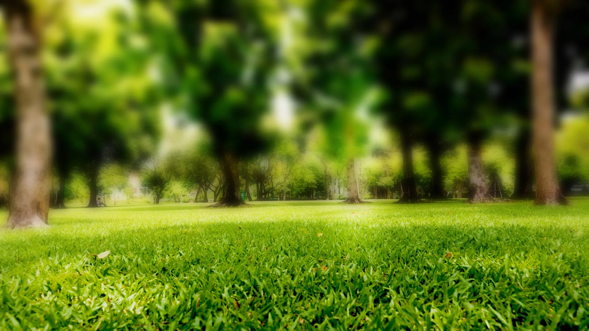 Blurry greenery landscape shown in Riverside County, CA.