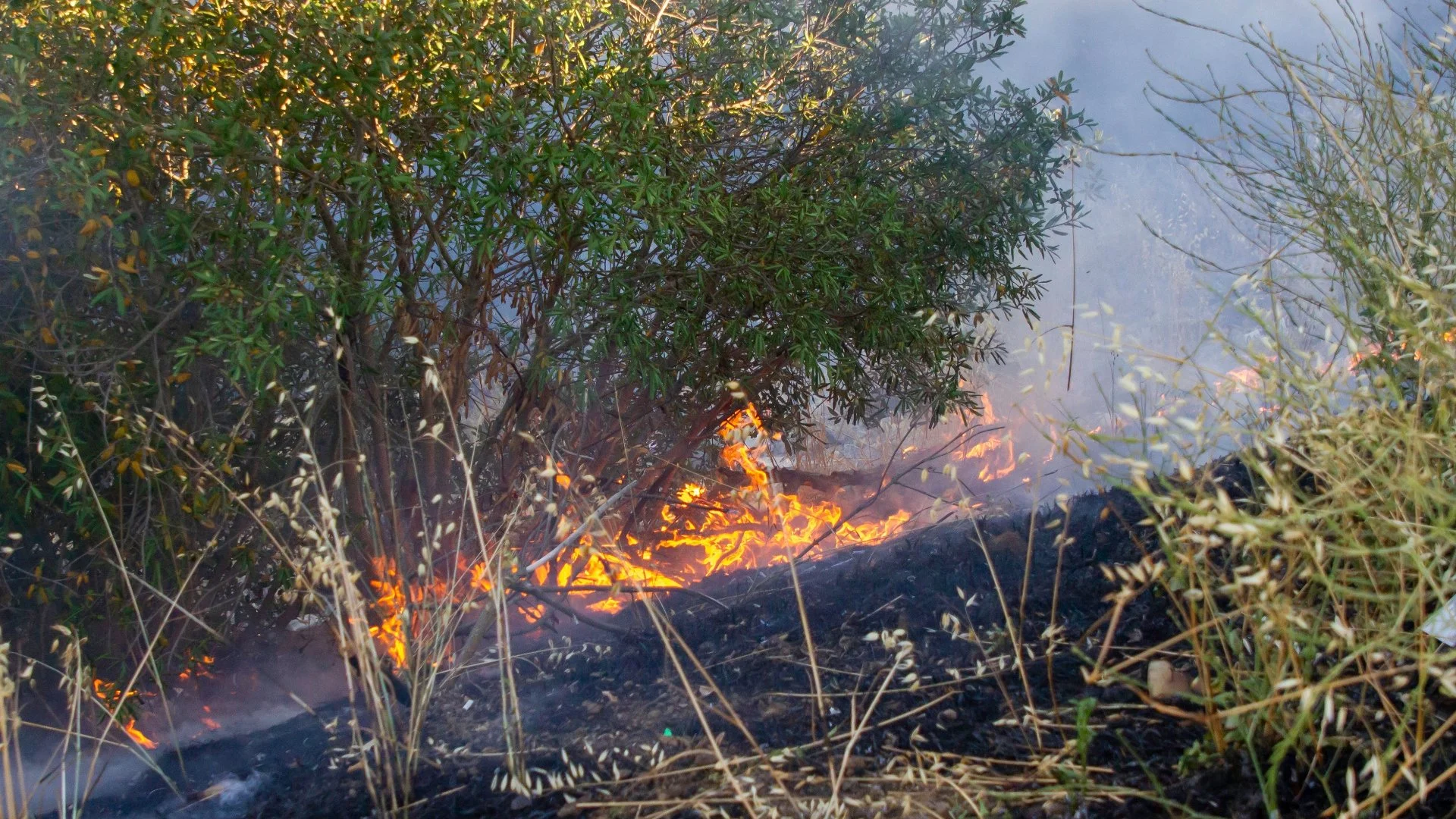 Fire Abatement Is a Must for Your Property in Southern California!