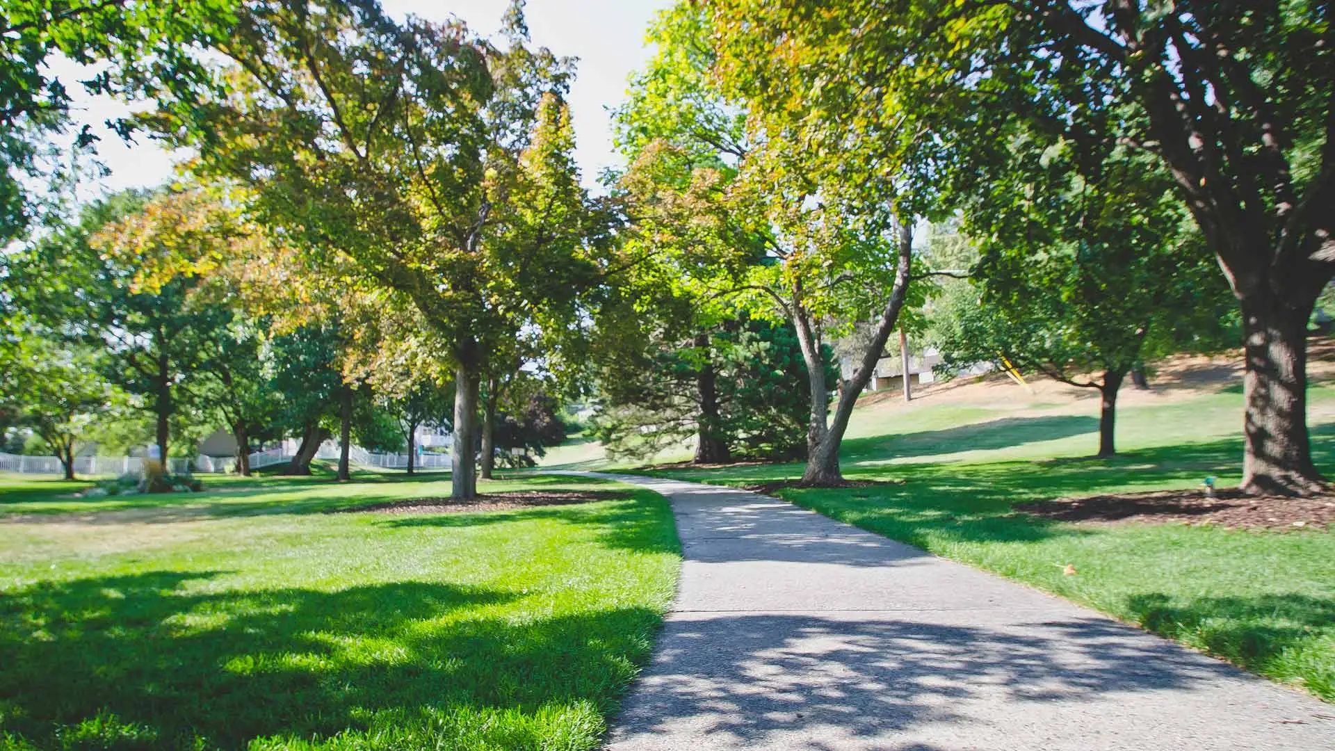 Greenery landscape shown with sidewalk path in Ventura, CA.