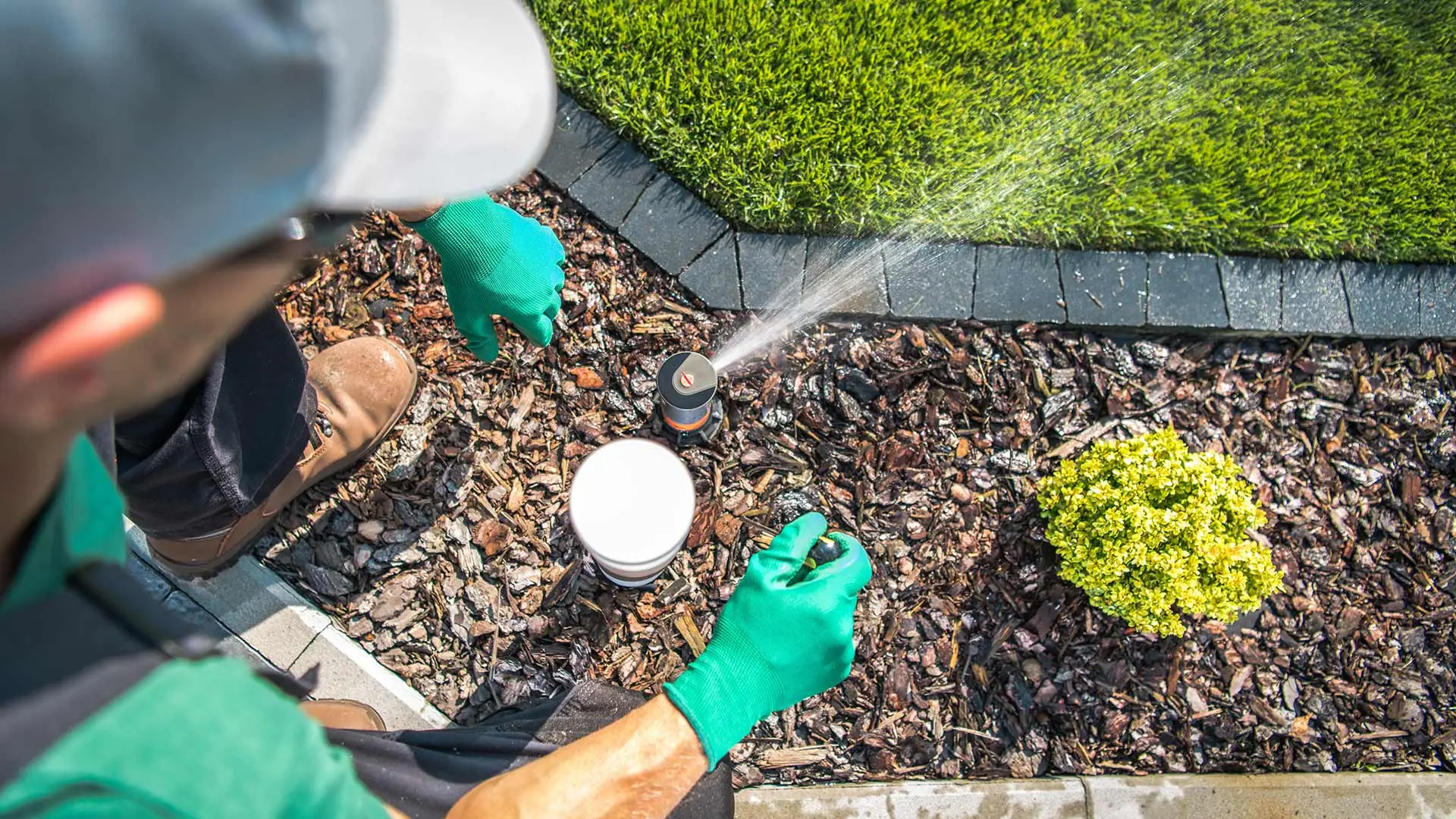 Irrigation specialist inspecting a sprinkler head in a landscape bed near San Diego, CA.