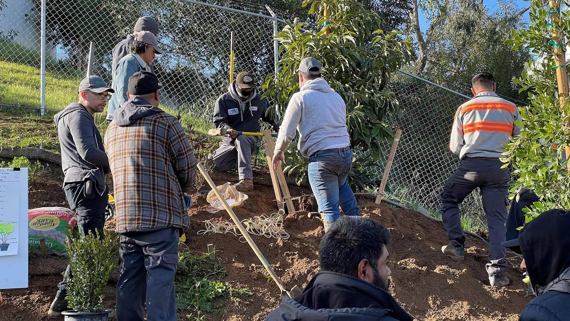 Landscaping team working on new plantings at a property in Encinitas, CA.