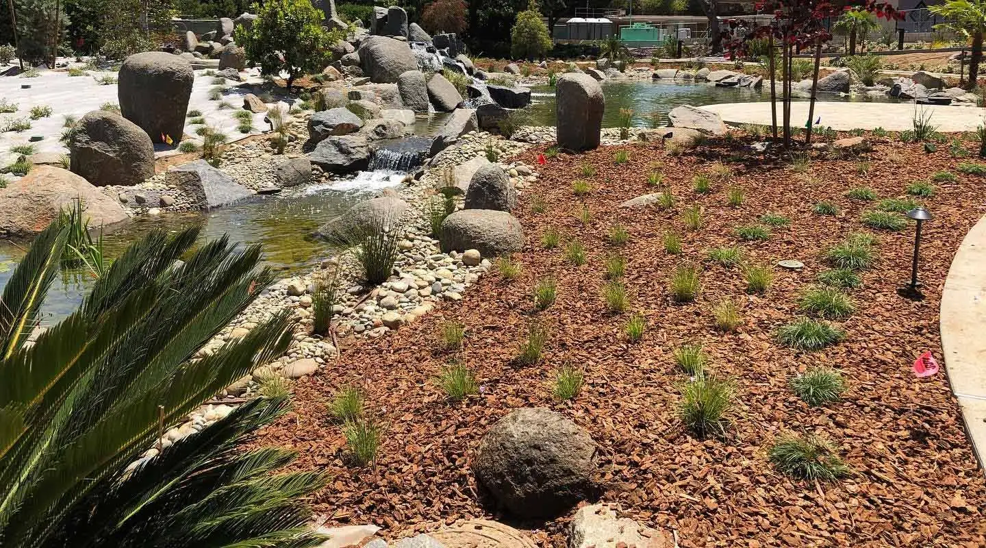 Large water feature with mulch beds and plants near Del Mar, CA.