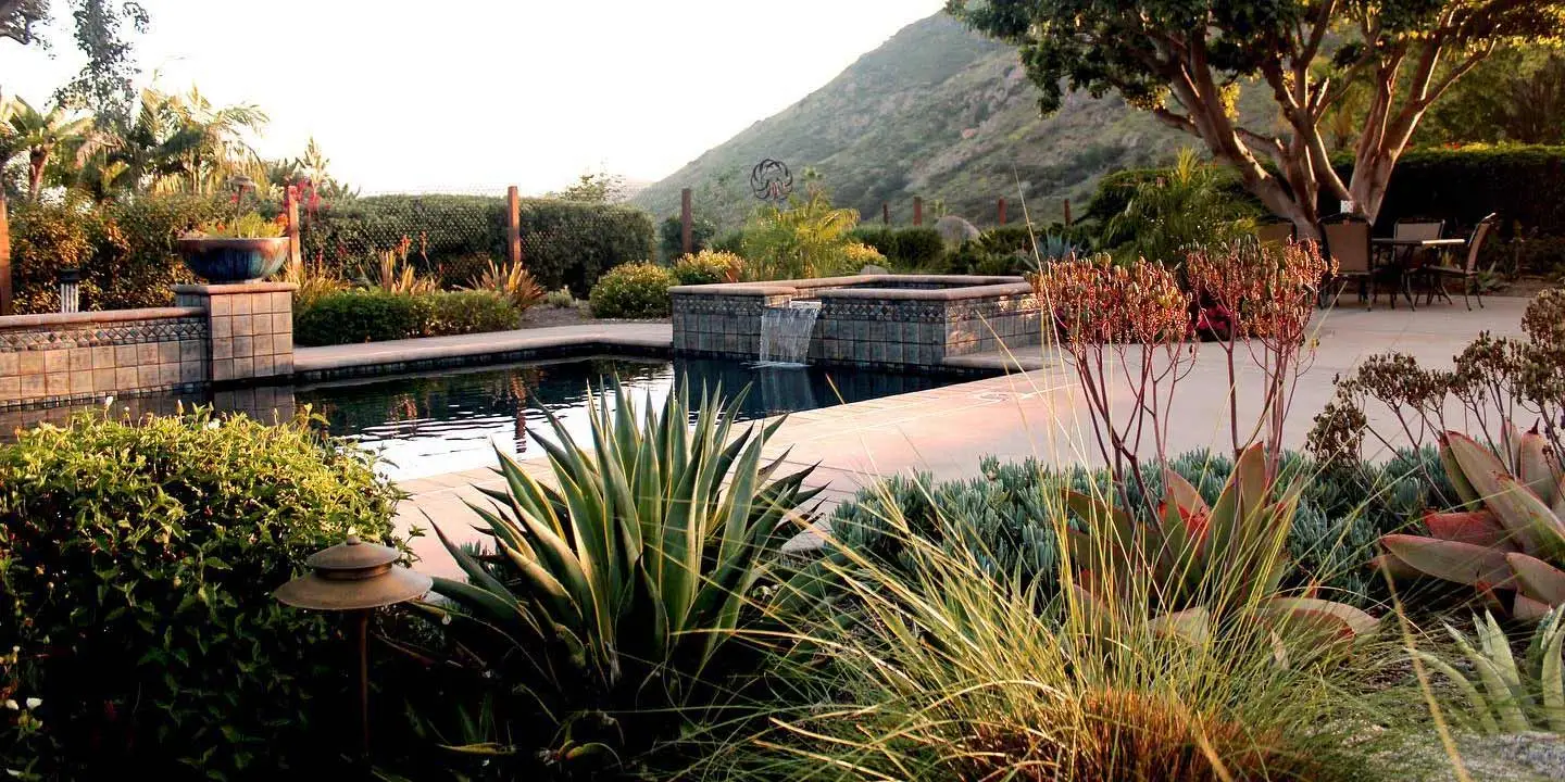 Custom pool and deck with landscape plantings at a home in Rancho Santa Fe, CA.