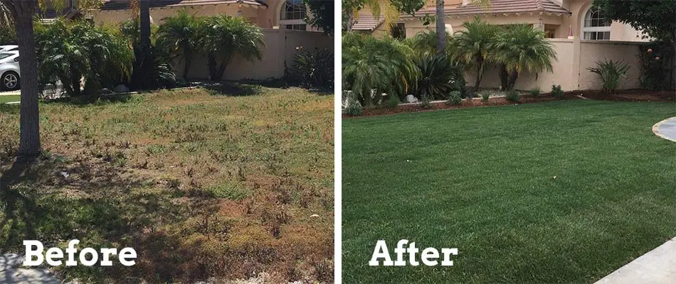 Before and after photo of a property with lawn care services in Rancho Santa Fe, CA.