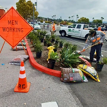 Landscape crew at commercial property in Rancho Santa Fe, CA installing new plants.
