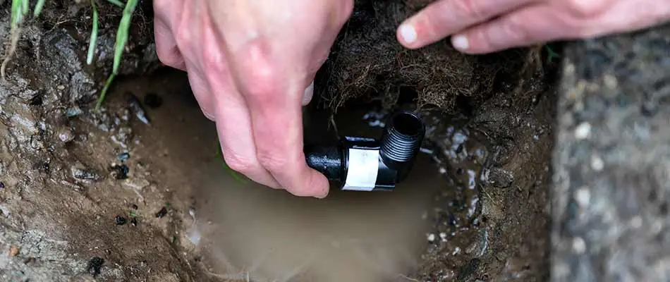 Irrigation repairman replacing a valve near Del Mar, CA.