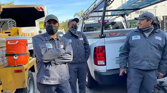 MSE Landscape Professionals team readying for a new project near Rancho Santa Fe, CA.