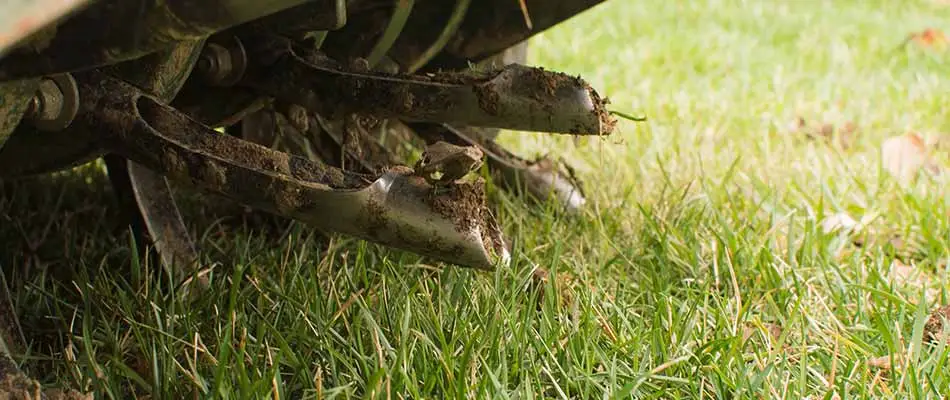 Lawn aeration equipment removing soil cores at a home in Rancho Santa Fe, CA.
