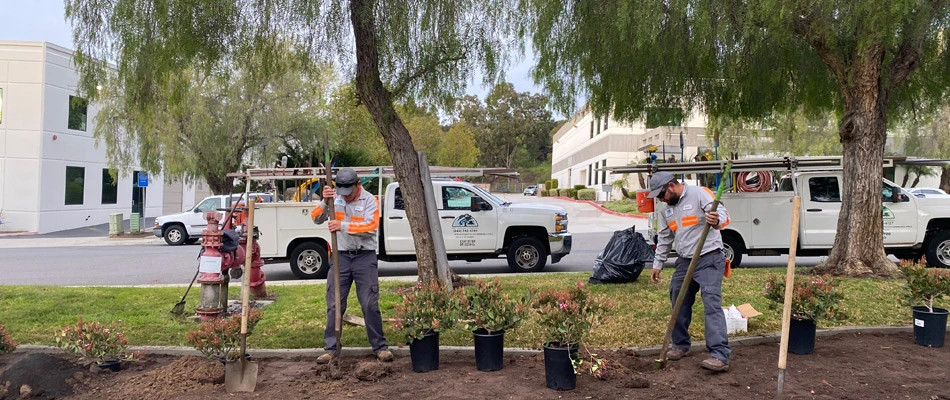 Professionals from MSE preparing ground for planting installs in Santa Barbara, CA.